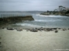 Seals