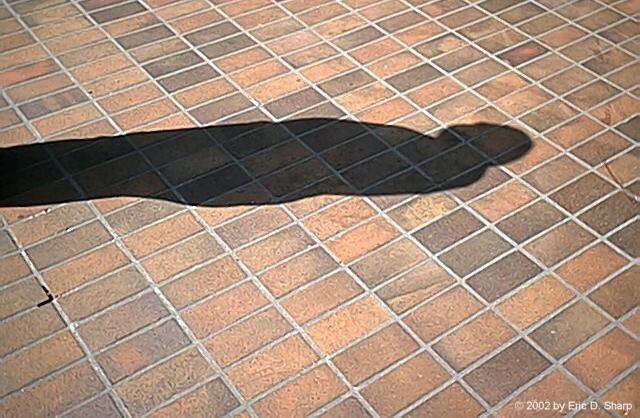 Shadow
