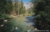 River in Sequoia