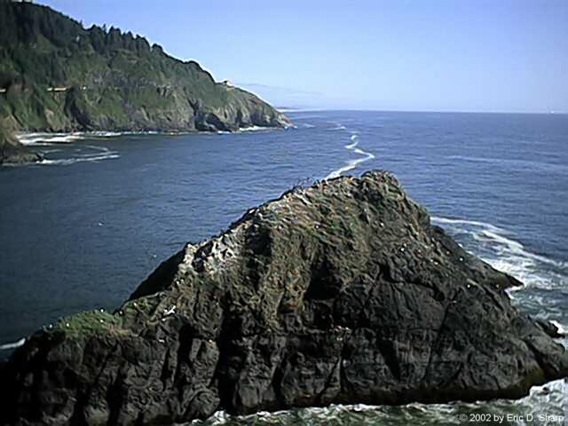 Heceta Head