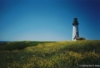 Yaquina Head